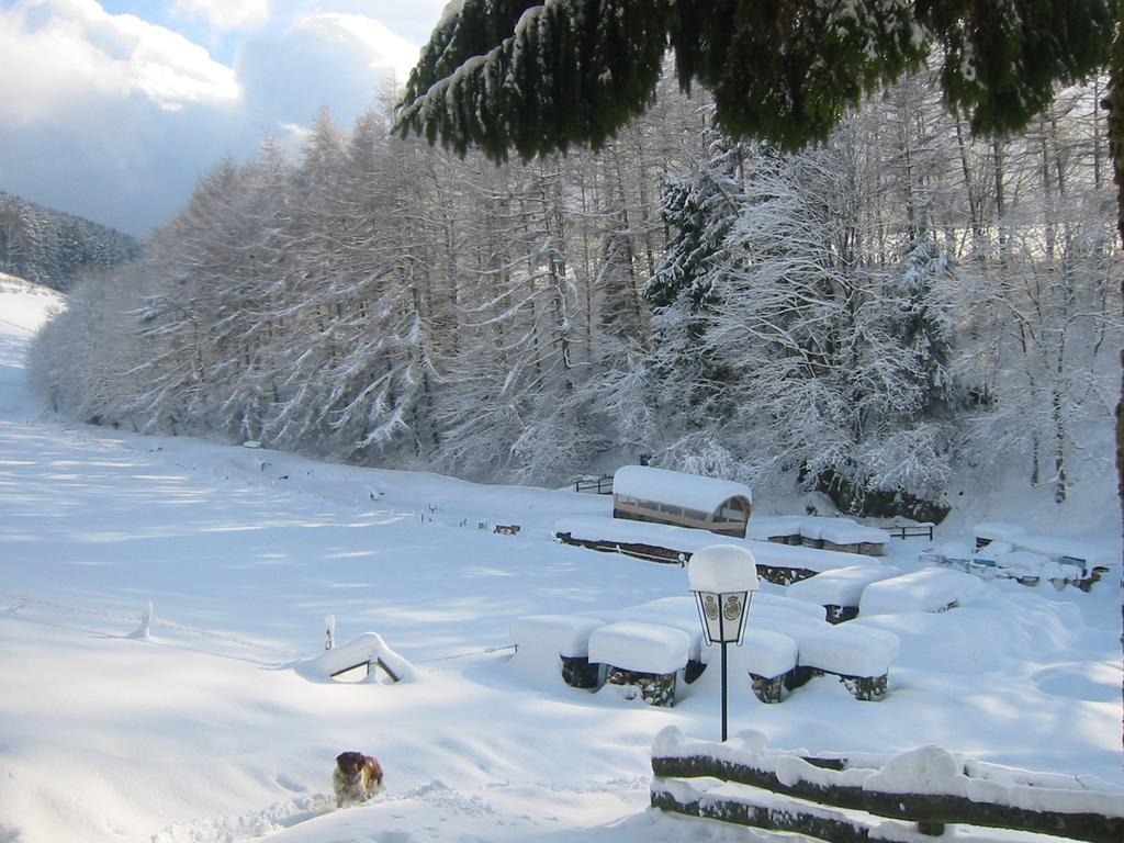 Gasthaus Wollmeiner Schmallenberg Εξωτερικό φωτογραφία